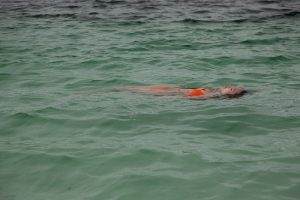 IMG_5456