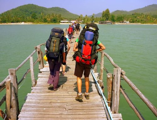 Working Holiday visa delays leave travellers and regional businesses in limbo 21 August 2026