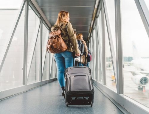 TTF Calls for Federal Government Action on Working Holiday Visas