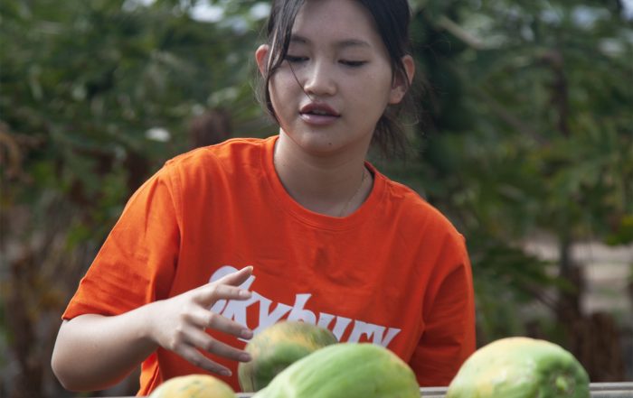 working holiday maker at farm